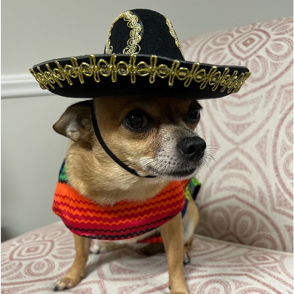 Halloween Costume with matching Sombrero. - Picture 3 of 13